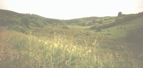 {valley of peace - between Omagh & Enniskillen}